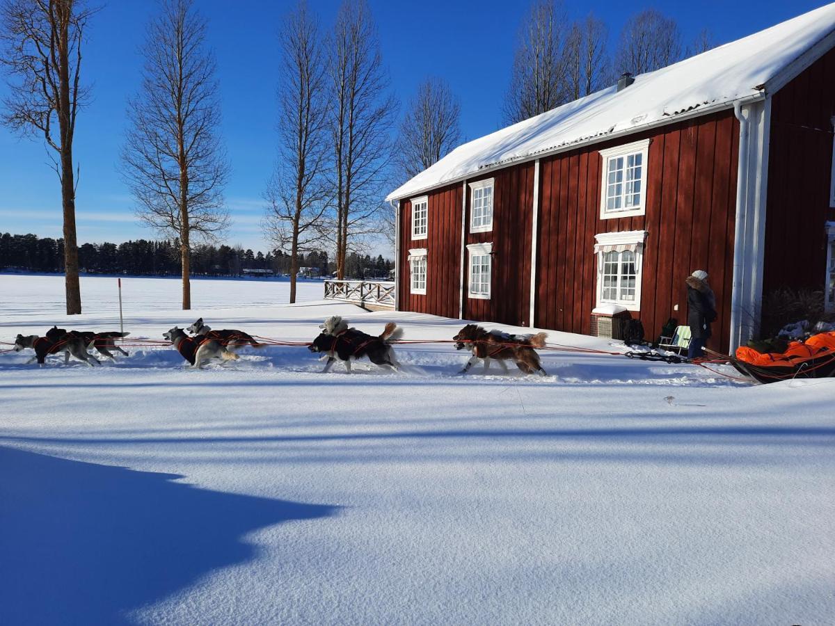 Camp Route 45 Hotell Hammerdal Eksteriør bilde